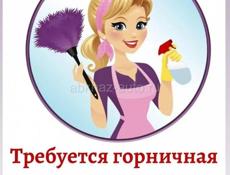 Горничная в Цандрыпш