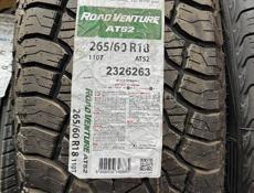 Tires_Abkhazia
