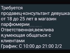 Продавец консультант 