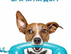 Ветеринарный врач надом
