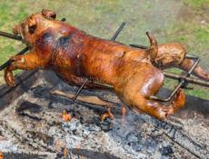 продаю свежих и заморожены молочных поросят 