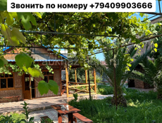 Сдам апацху-кафе в аренду
