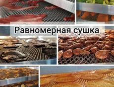 Сушильная камера для фруктов/овощей/мяса (дегидратор)