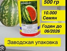 Продаётся семена арбуза продюсер ф1 срочно цена договорная 