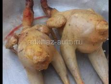 Продаю Куры Домашние 