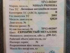 Nissan Primera