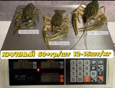 Раки Донские для понимающих гурманов 