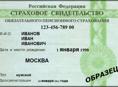 Делаю СНИЛС 