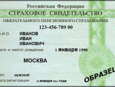 Делаю СНИЛС 