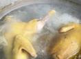 Куры, петухи 