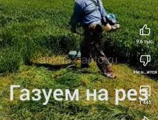 Покосим трава