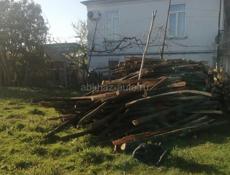 Колышки 