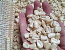 Продаётся Кукуруза 