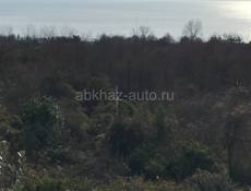 Участок в Сухуме 20 соток