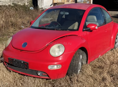 Битл beetle 