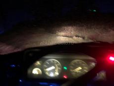 ВАЗ 2107