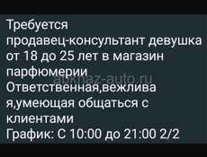 Продавец консультант 