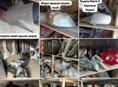 Б/у запчасти на иномарки Toyota mark X, Voxy, Alphard, Noah, Honda stepwgn, fit, Nissan, Leksuz, Mazda и т д 