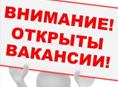 Требуются сотрудники