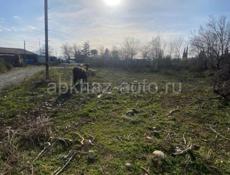 Звонить на вацап только +79409494303