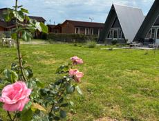Сдаю домики A-frame