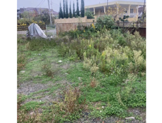 Участок 350 м² (Сухум)