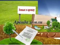  Сдам в аренду землю