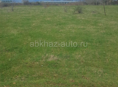Бамбора 