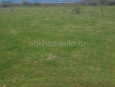 Бамбора 