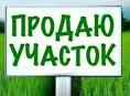 Дранда 25 соток