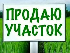 Дранда 25 соток