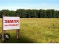 Продаётся участок 2.1 гек в сух районе 