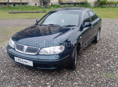 Nissan Bluebird