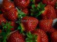 Клубника 🍓 