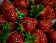 Клубника 🍓 