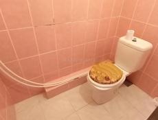 Срочно. Трёхкомнатная квартира, чешский проект 