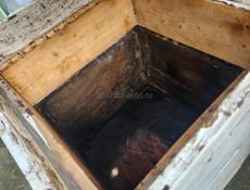 Ульи