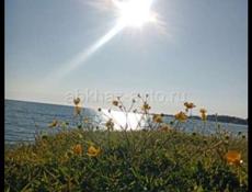 ПРОСТОРНАЯ КВАРТИРА НА БЕРЕГУ ЧЁРНОГО МОРЯ