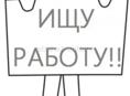 Водитель или завхоз 