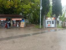 сдается в аренду