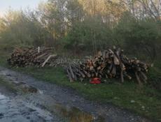Колышки по 100р