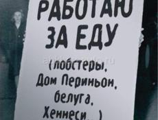 Ищу работу 