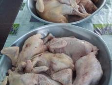 Продаю чищеных Курей  (Бролер) 