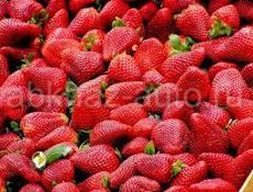 Куплю клубнику 10кг