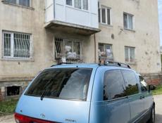 Toyota Previa
