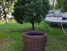 Кашпо ручной работы для цветов