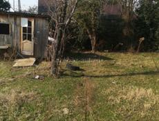 УЧАСТОК С ВЕТХИМ СТРОЕНИЕМ ЦАНДРИПШ 