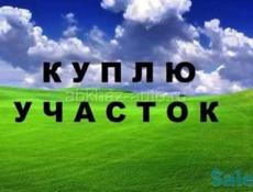 Куплю от 10 гектаров и выше 