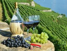 Вино 🍷 