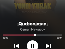 Говядина 
